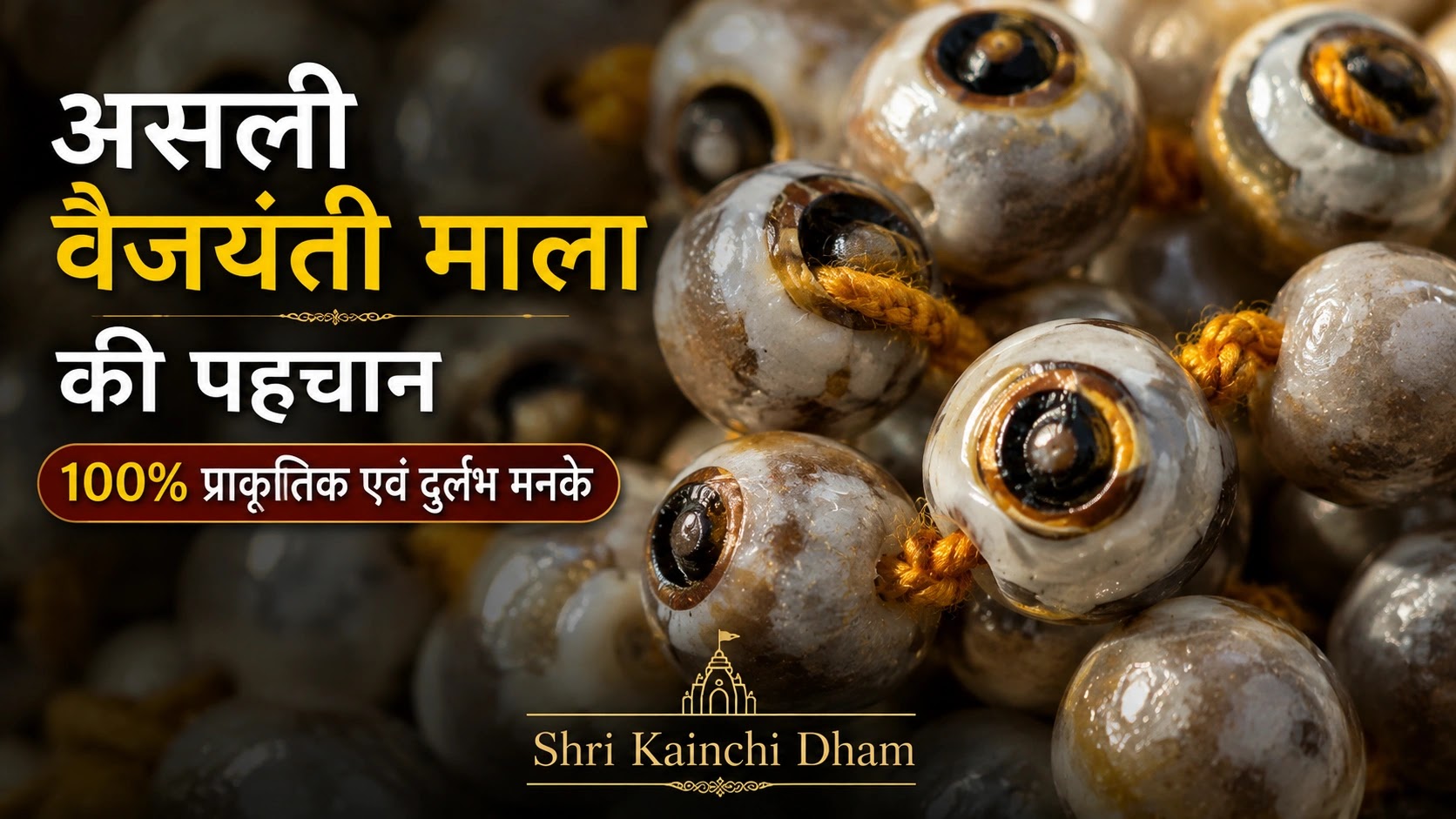 असली वैजयंती माला की पहचान और 100% प्राकृतिक दुर्लभ मनके - Shri Kainchi Dham